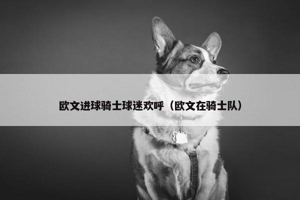 欧文进球骑士球迷欢呼（欧文在骑士队）