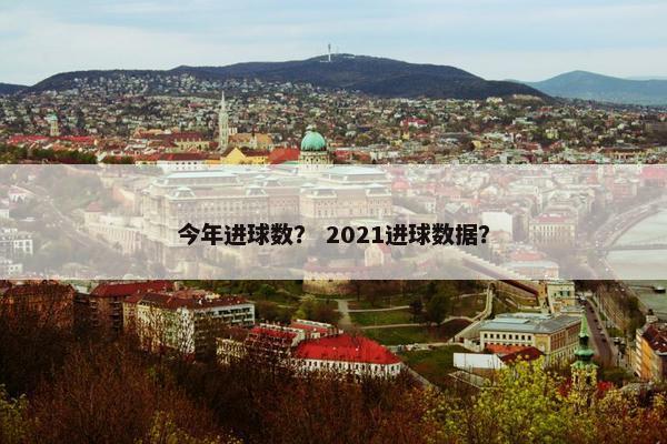 今年进球数？ 2021进球数据？