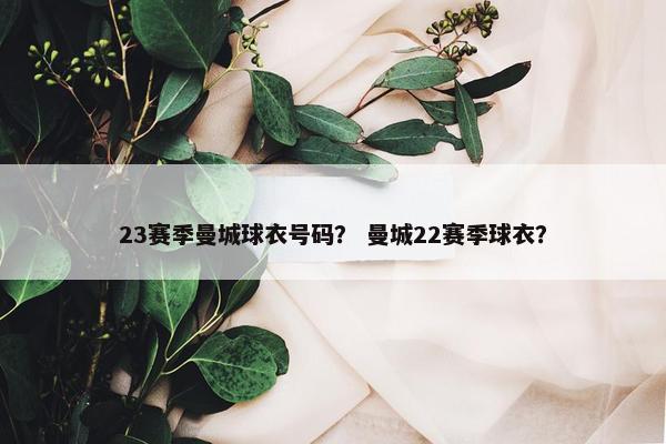 23赛季曼城球衣号码？ 曼城22赛季球衣？