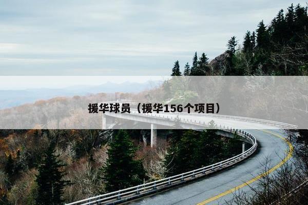 援华球员（援华156个项目）
