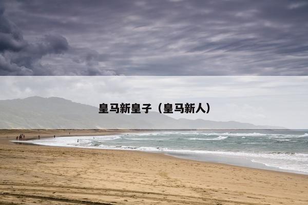 皇马新皇子（皇马新人）