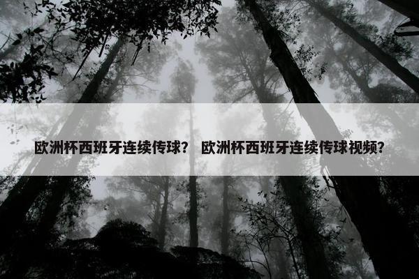 欧洲杯西班牙连续传球？ 欧洲杯西班牙连续传球视频？