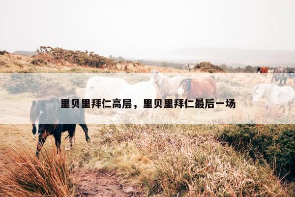 里贝里拜仁高层，里贝里拜仁最后一场