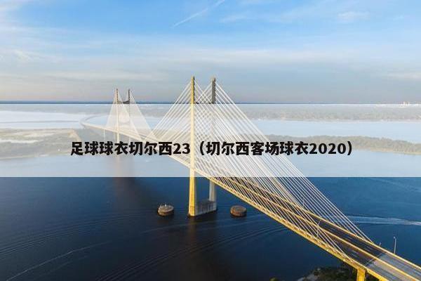足球球衣切尔西23（切尔西客场球衣2020）