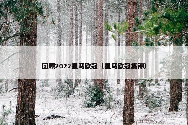回顾2022皇马欧冠（皇马欧冠集锦）