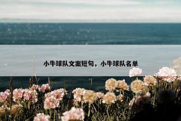 小牛球队文案短句，小牛球队名单