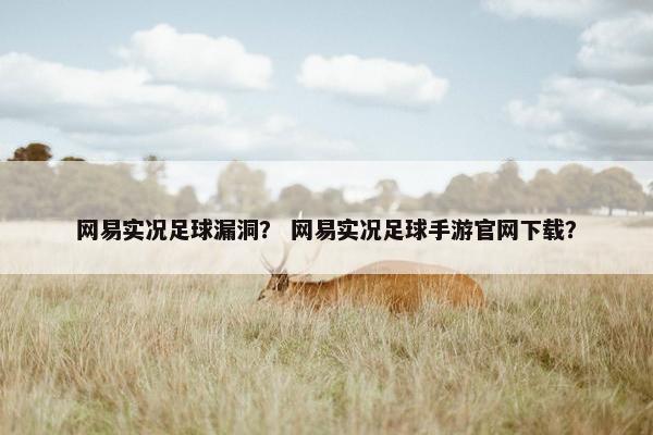 网易实况足球漏洞？ 网易实况足球手游官网下载？