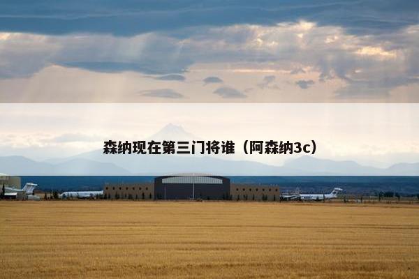 森纳现在第三门将谁（阿森纳3c）