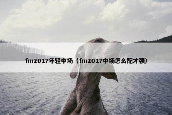 fm2017年轻中场（fm2017中场怎么配才强）