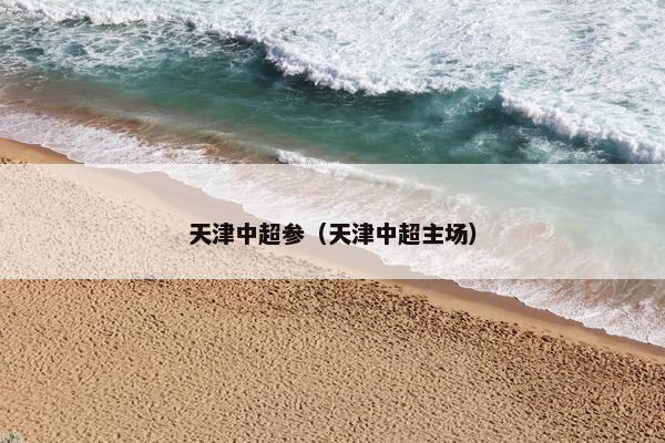 天津中超参（天津中超主场）