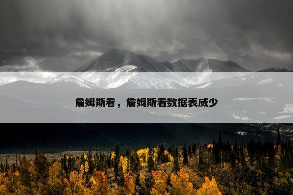 詹姆斯看，詹姆斯看数据表威少