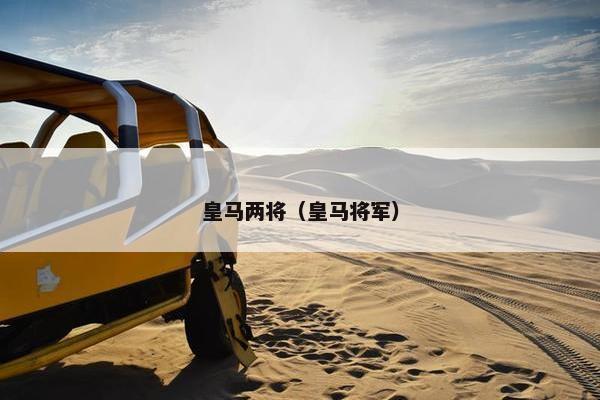 皇马两将（皇马将军）