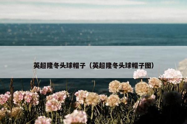 英超隆冬头球帽子（英超隆冬头球帽子图）