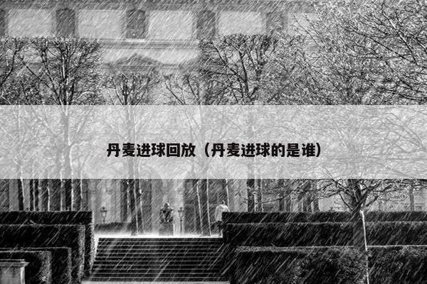 丹麦进球回放（丹麦进球的是谁）