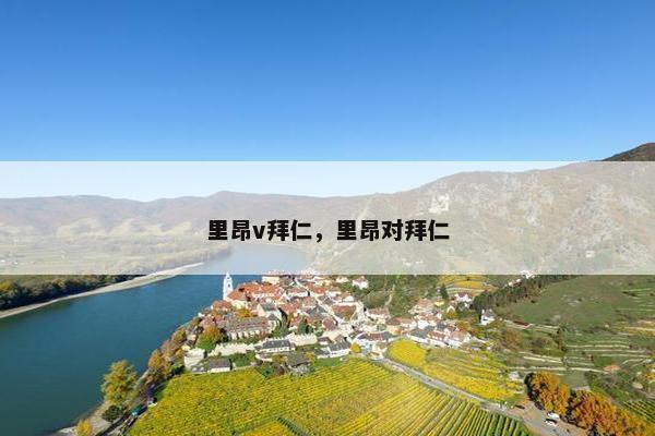 里昂v拜仁，里昂对拜仁