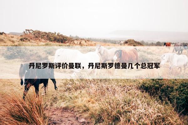 丹尼罗斯评价曼联，丹尼斯罗德曼几个总冠军