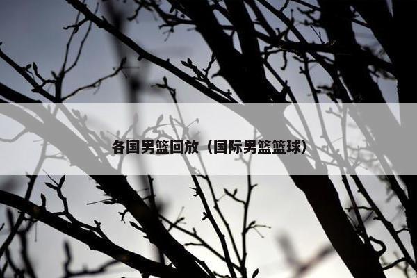 各国男篮回放（国际男篮篮球）