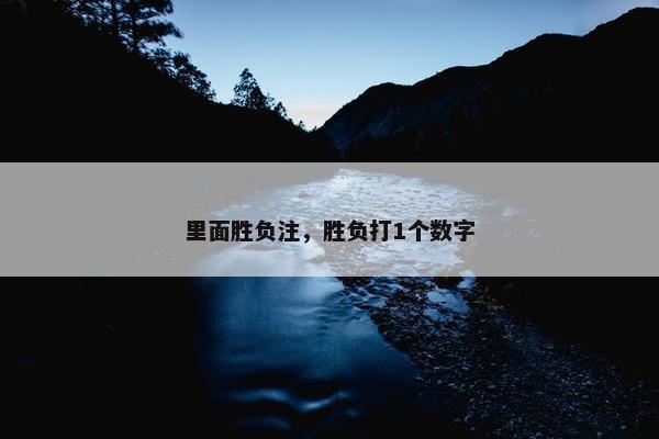 里面胜负注，胜负打1个数字
