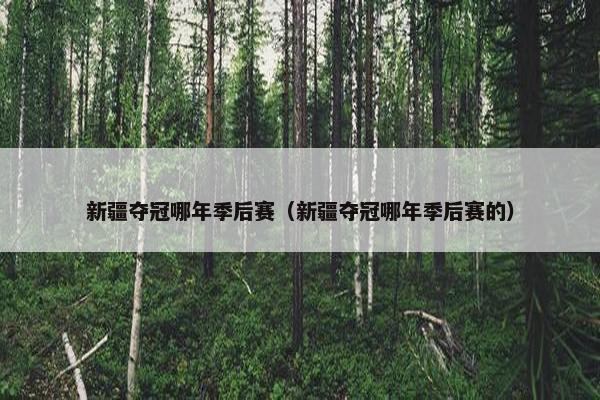 新疆夺冠哪年季后赛（新疆夺冠哪年季后赛的）
