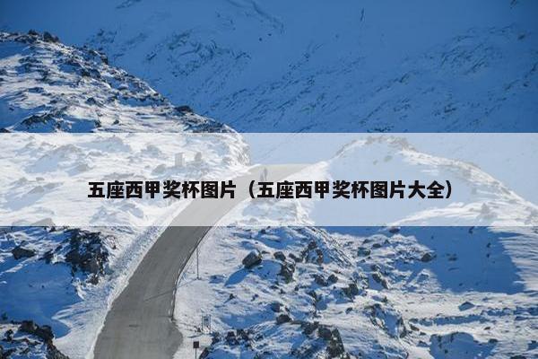 五座西甲奖杯图片（五座西甲奖杯图片大全）