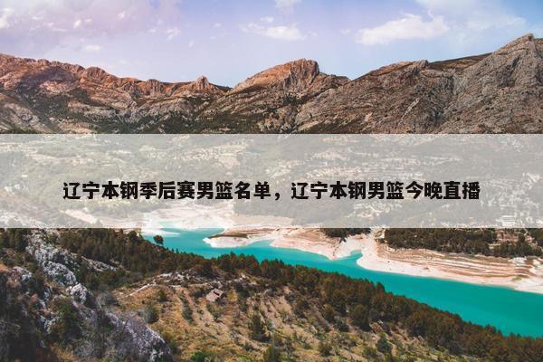 辽宁本钢季后赛男篮名单，辽宁本钢男篮今晚直播