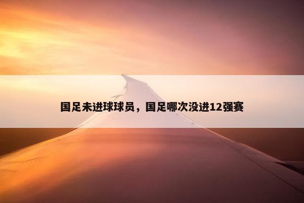 国足未进球球员，国足哪次没进12强赛