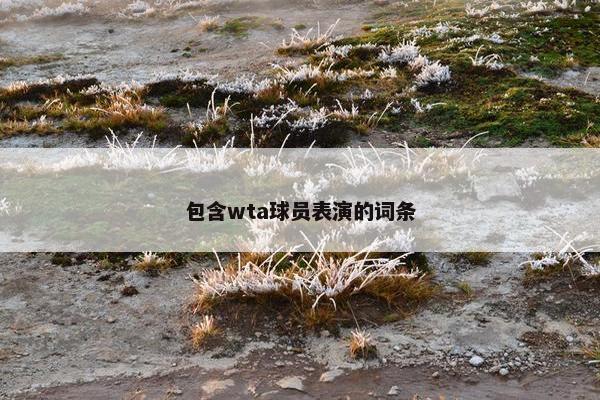 包含wta球员表演的词条