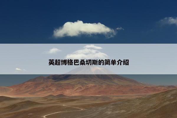 英超博格巴桑切斯的简单介绍