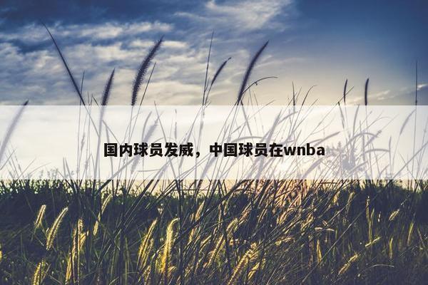 国内球员发威，中国球员在wnba