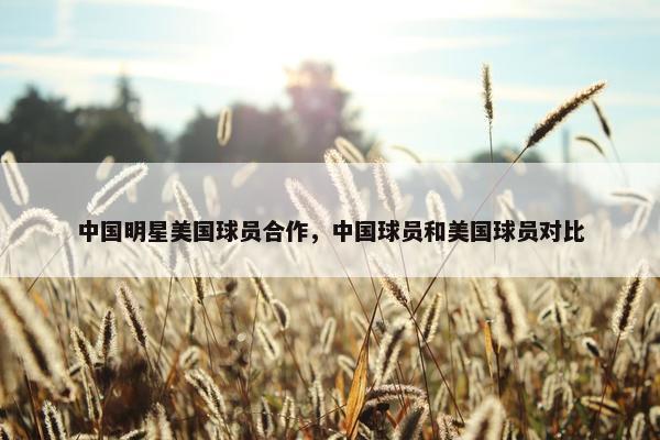 中国明星美国球员合作，中国球员和美国球员对比