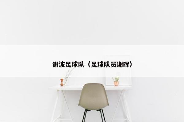 谢波足球队（足球队员谢晖）