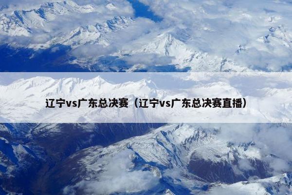 辽宁vs广东总决赛（辽宁vs广东总决赛直播）
