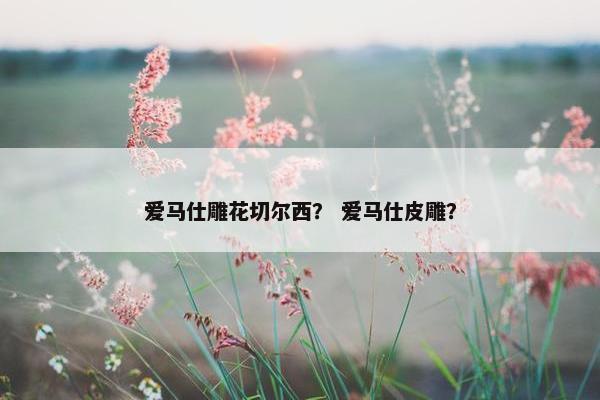 爱马仕雕花切尔西？ 爱马仕皮雕？