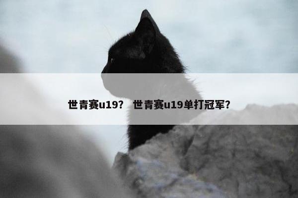 世青赛u19？ 世青赛u19单打冠军？