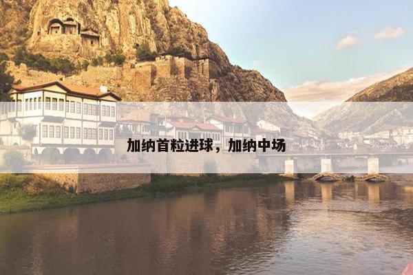 加纳首粒进球，加纳中场