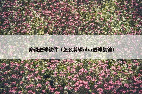 剪辑进球软件（怎么剪辑nba进球集锦）