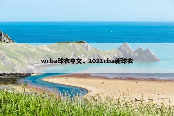 wcba球衣中文，2021cba新球衣