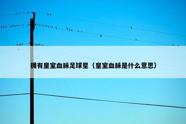 拥有皇室血脉足球星（皇室血脉是什么意思）