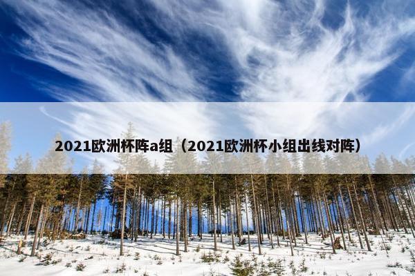 2021欧洲杯阵a组（2021欧洲杯小组出线对阵）