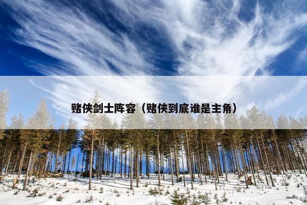赌侠剑士阵容（赌侠到底谁是主角）