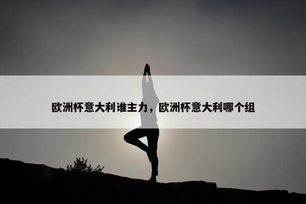 欧洲杯意大利谁主力，欧洲杯意大利哪个组
