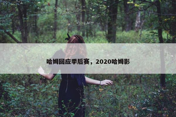 哈姆回应季后赛，2020哈姆影