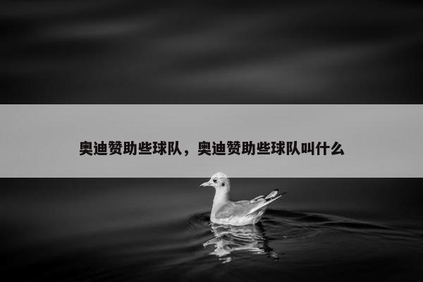 奥迪赞助些球队，奥迪赞助些球队叫什么