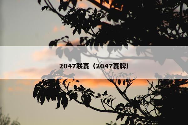 2047联赛（2047赛牌）