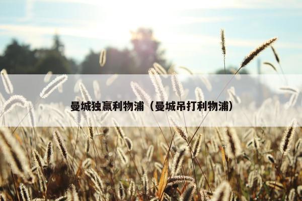 曼城独赢利物浦（曼城吊打利物浦）