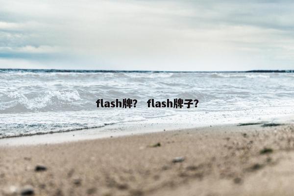 flash牌？ flash牌子？