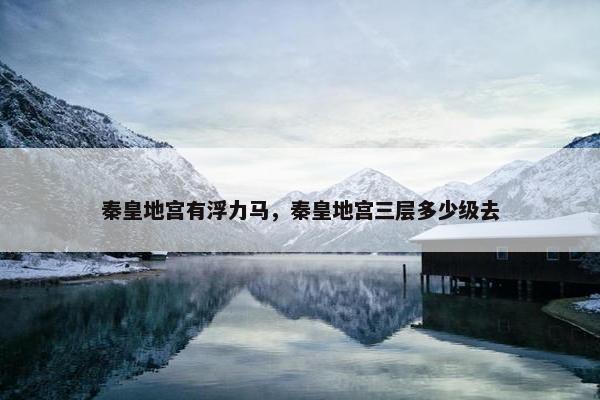 秦皇地宫有浮力马，秦皇地宫三层多少级去