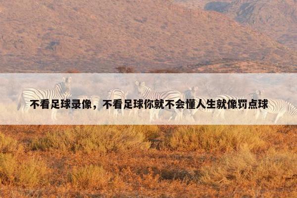 不看足球录像，不看足球你就不会懂人生就像罚点球