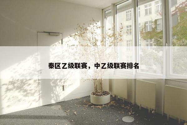 秦区乙级联赛，中乙级联赛排名