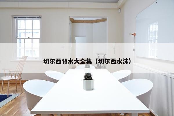 切尔西背水大全集（切尔西水沫）